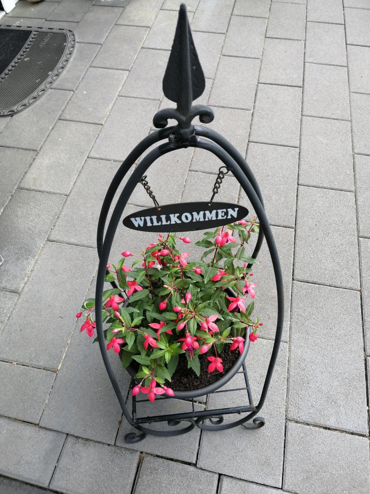 Ferienwohnung Blumenparadies Nettersheim Exterior foto